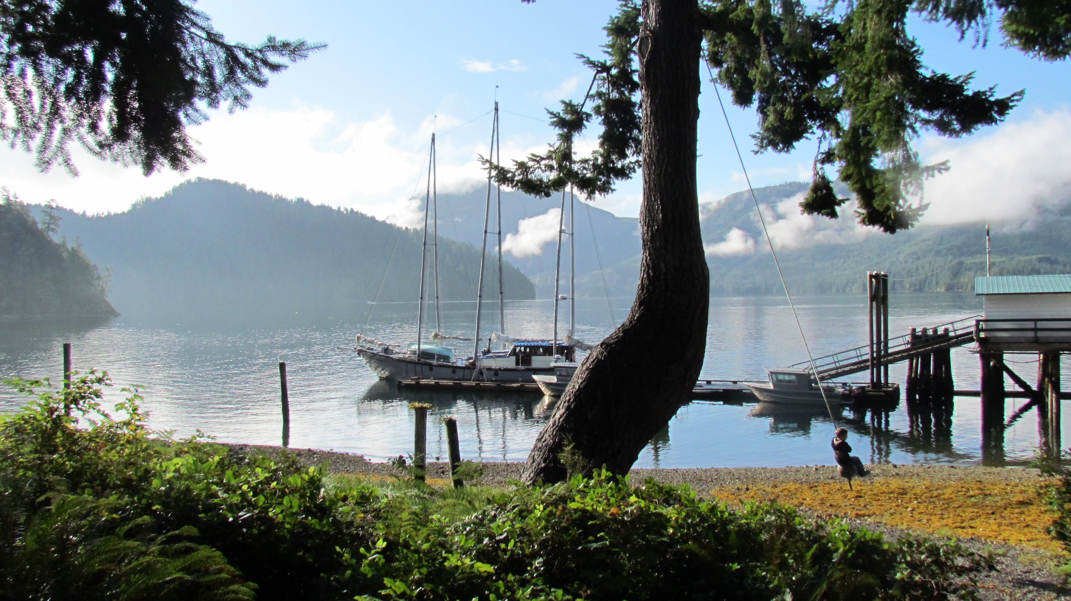 Between 2011 - 2018, Year 2012, No 6